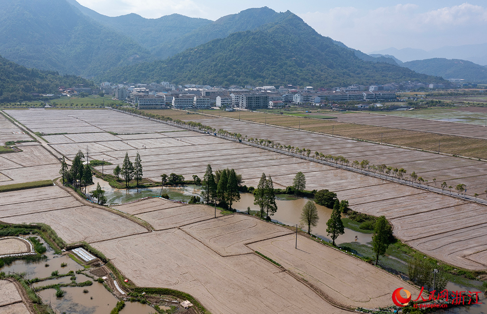 從空中俯瞰浙江省瑞安市曹村鎮(zhèn)的萬畝田園，春色如畫。人民網(wǎng) 章勇濤攝