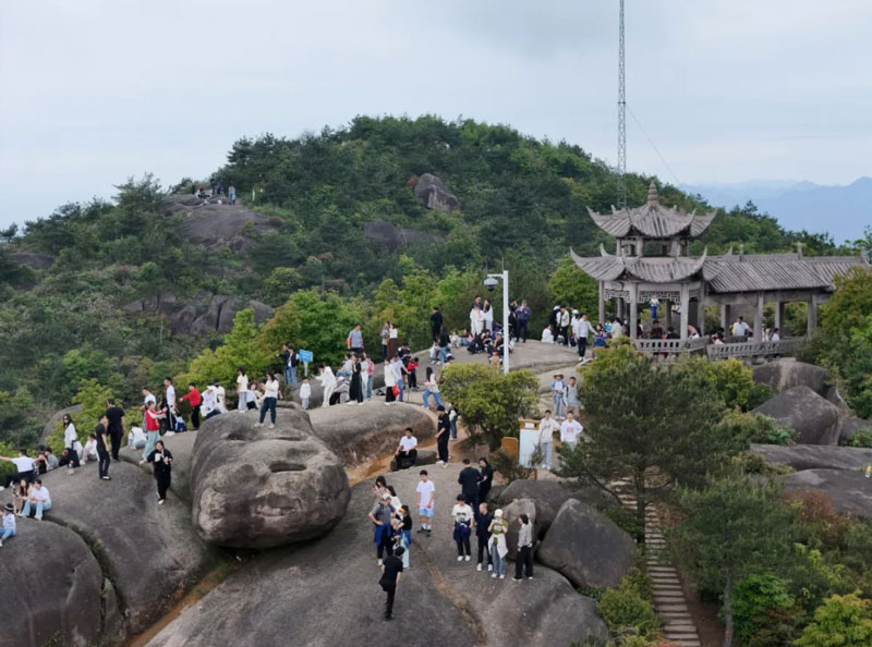 蒼南縣委宣傳部供圖