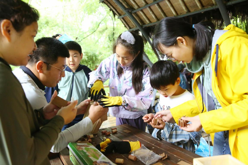 為昆蟲搭建棲息“房間”。西溪濕地供圖