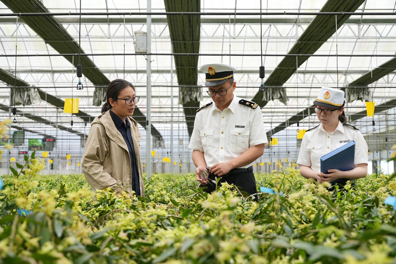 走訪調(diào)研中藥材種植基地。武義縣委宣傳部供圖