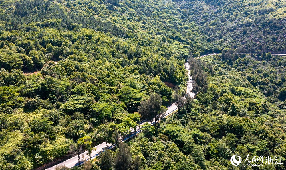 空中俯瞰“中國(guó)東海岸一號(hào)公路”宛如玉帶，綿延山海間，勾勒出一幅“山海蒼南”的天然圖景。人民網(wǎng) 章勇濤攝