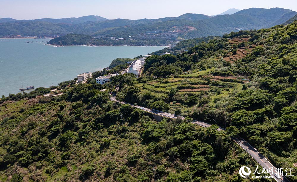 空中俯瞰“中國(guó)東海岸一號(hào)公路”宛如玉帶，綿延山海間，勾勒出一幅“山海蒼南”的天然圖景。人民網(wǎng) 章勇濤攝