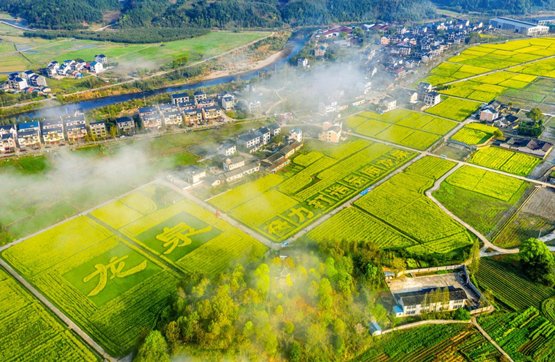 美麗鄉(xiāng)村畫卷徐徐鋪開。龍泉市委宣傳部供圖