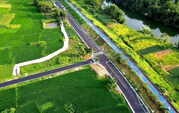 蒼南這條路，通車！